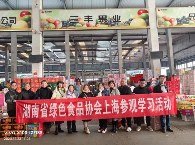 国内批发采购